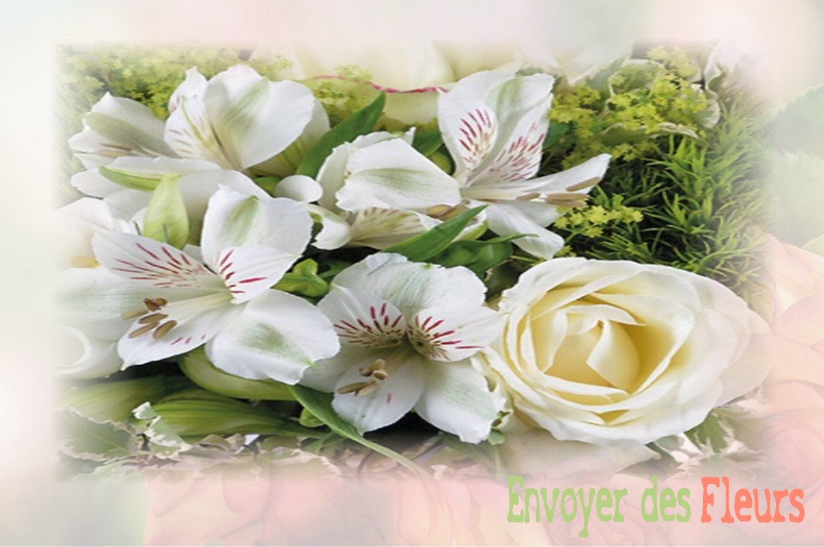 envoyer des fleurs à à VOUILLE-LES-MARAIS